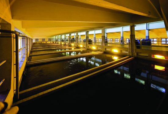 Reliability and efficiency are chief concerns for wastewater treatment plants.